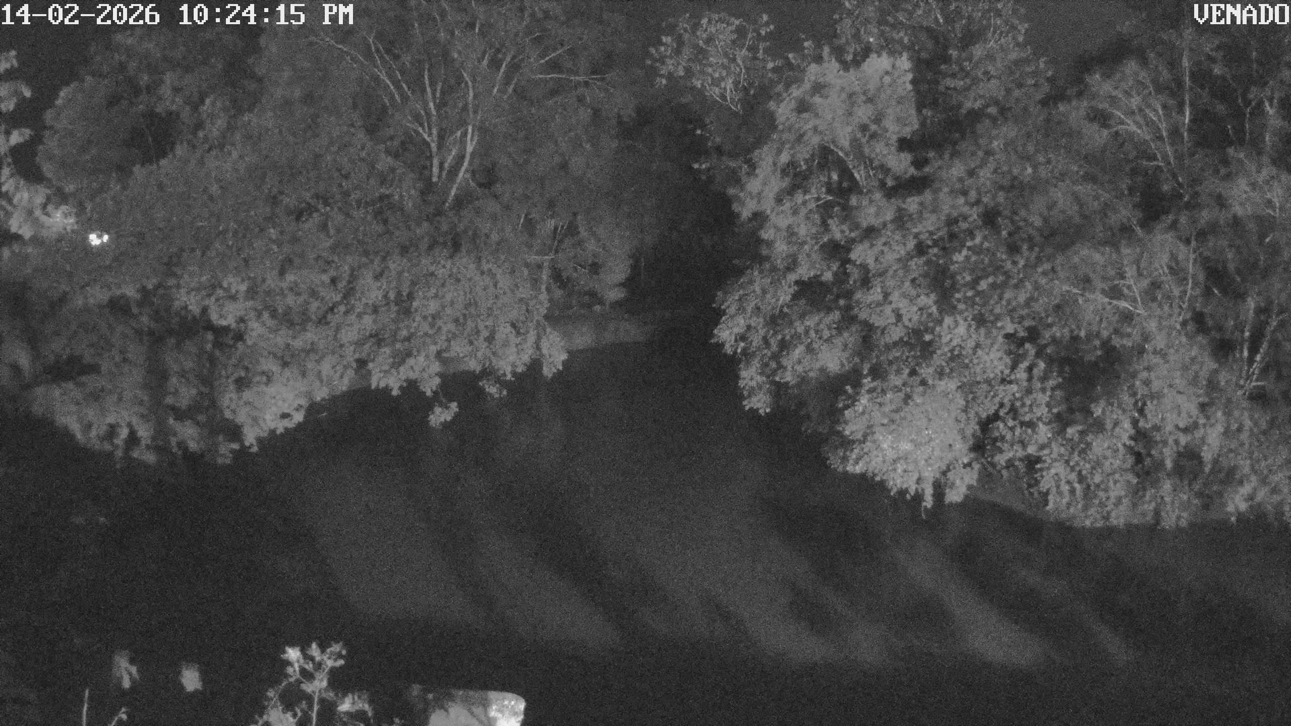 Imagen de Cámara 1 - Río Venado